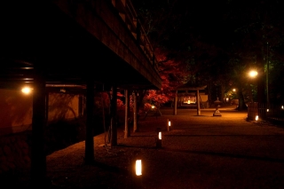 131206daikakuji005.jpg