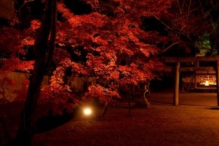 131206daikakuji006.jpg