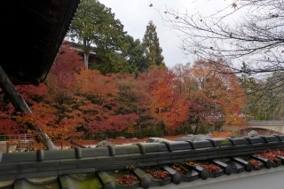131208jissouin002.jpg