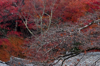 131208jissouin005.jpg