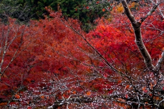 131208jissouin006.jpg