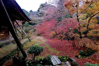 131208jissouin009.jpg