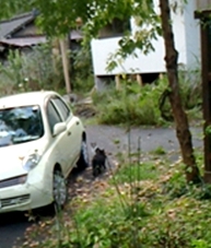 おはぎ3
