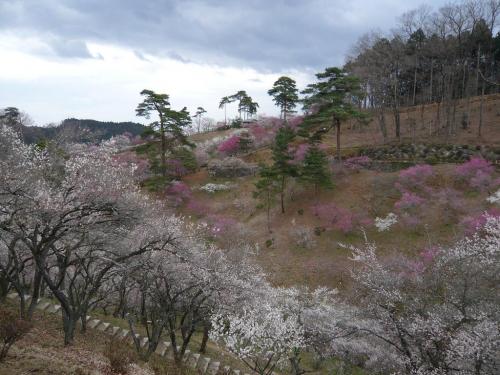 P1120830.jpg