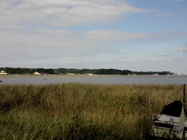 NCM_0307.jpg