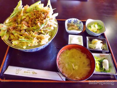 かき揚げ丼の大盛り