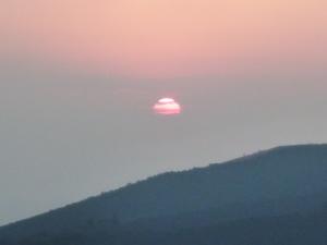 P1000063.jpg