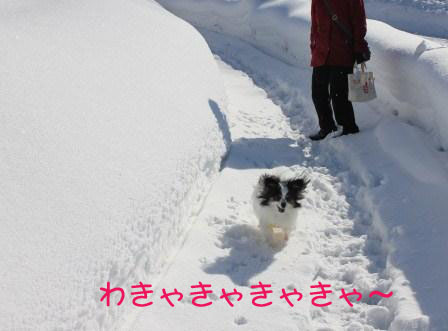 1301242.jpg