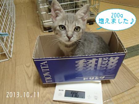 PA110199_convert.jpg