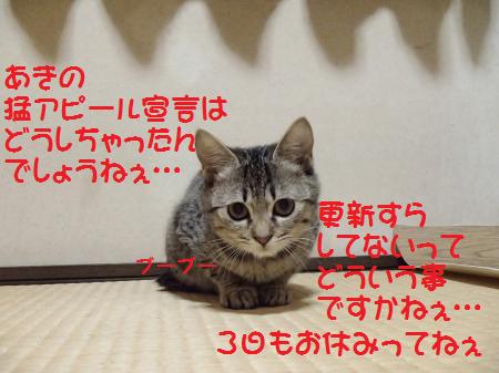 PB181098_convert_.jpg