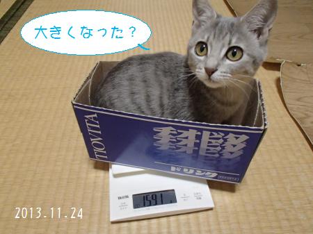 PB241255_convert.jpg