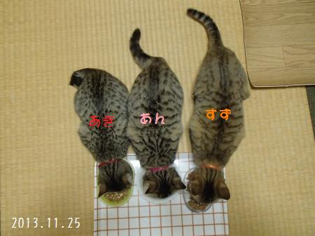 PB251296_convert.jpg