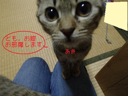 PB271371_convert.jpg