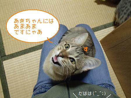 PB271383_convert.jpg