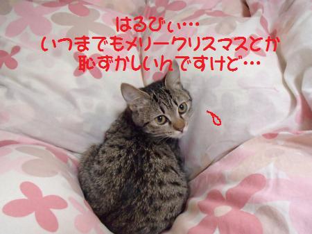 PC171952_convert.jpg