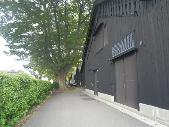 山居倉庫