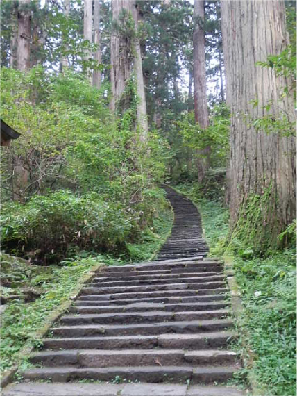 杉並木参道