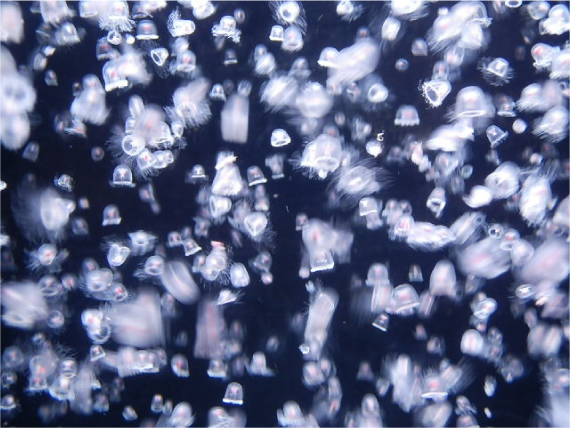PA108587.jpg