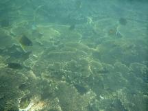 2011091129.jpg