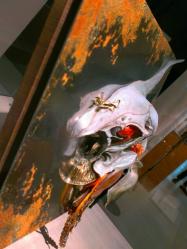 s-IMAG0746.jpg