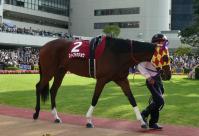 sP1020124.jpg