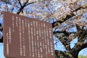 IMG_7153_convert_20120414222003.jpg