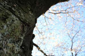 IMG_7163_convert_20120414222059.jpg