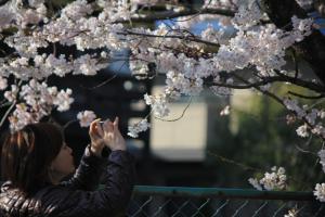 IMG_7171_convert_20120414223705.jpg