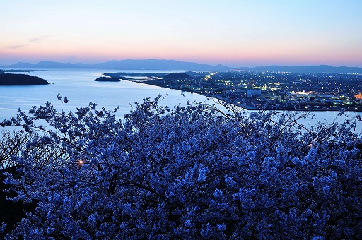 D3C_0916r-ss_20120429000329.jpg