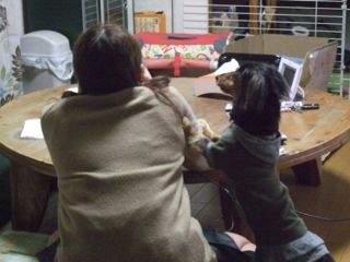 2-3もか