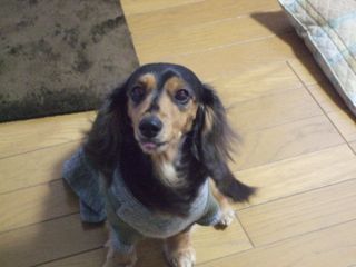 2-6もか