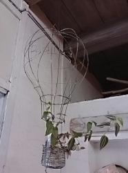 20131201181659928.jpg