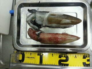 20131223090029.jpg
