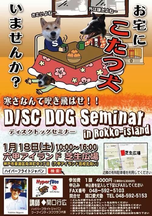 201312261456359cc.jpeg