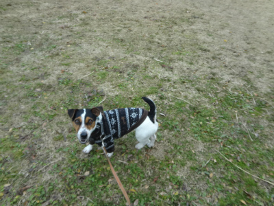 DSC01442.jpg