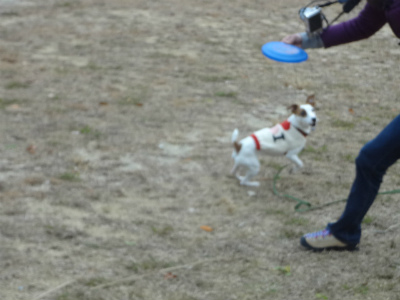 DSC01449.jpg