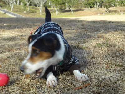 DSC01458.jpg