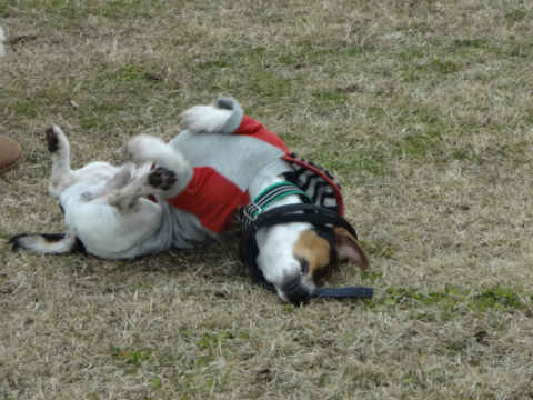 DSC01524.jpg