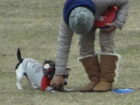 DSC01529.jpg