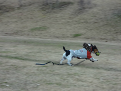 DSC01554.jpg
