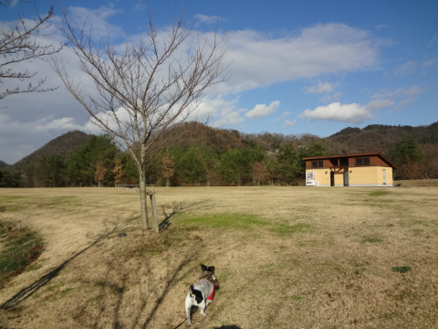 DSC01573.jpg