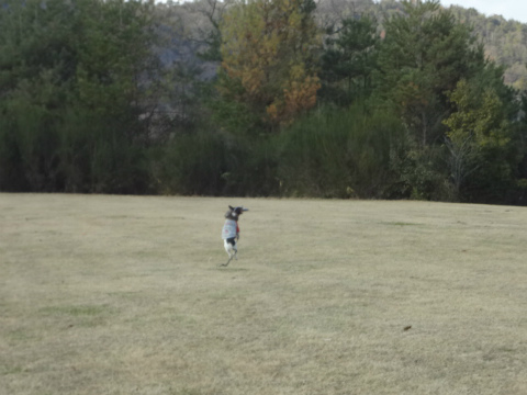 DSC01575.jpg