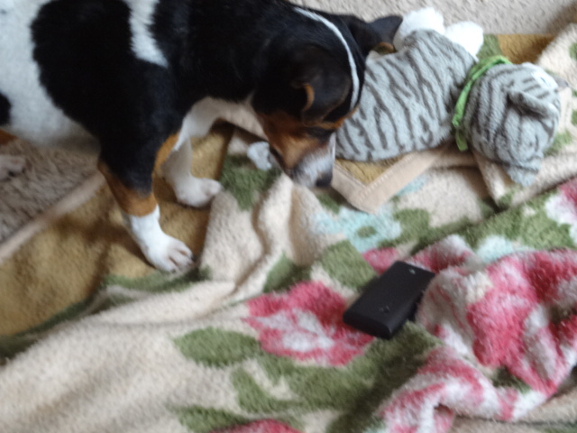 DSC01587.jpg