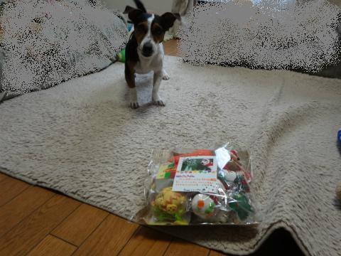 DSC01692.jpg