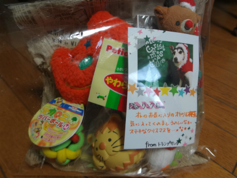 DSC01695.jpg