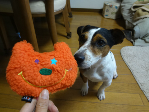 DSC01707.jpg