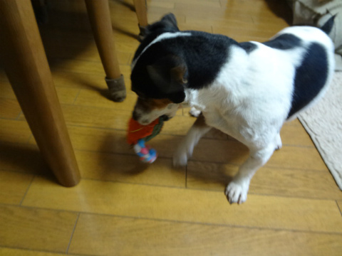 DSC01711.jpg