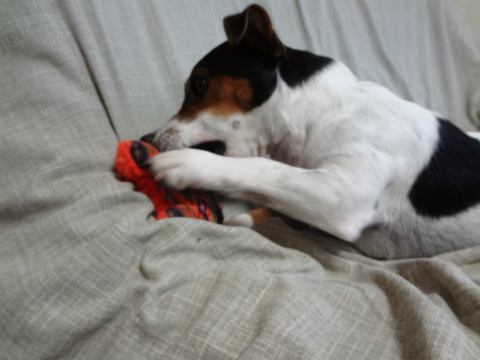 DSC01717.jpg