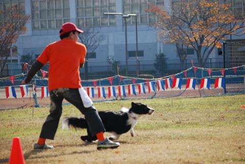 DSC_01721.jpg