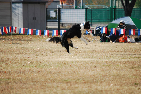 DSC_0175.jpg